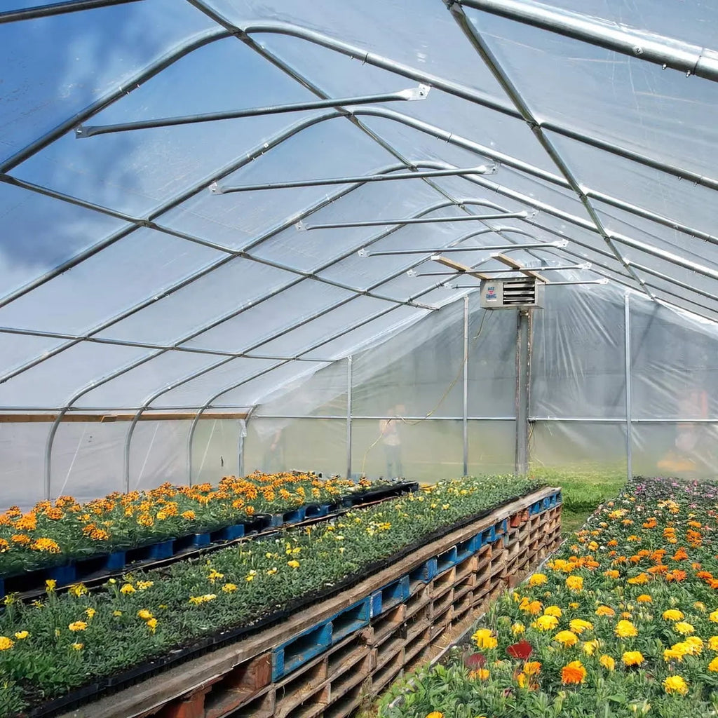 TMG Industrial Commercial Tunnel Greenhouse, 30' x 30', 6 Mil Clear Poly Covers and Roll-Up Sides, TMG-GH3030