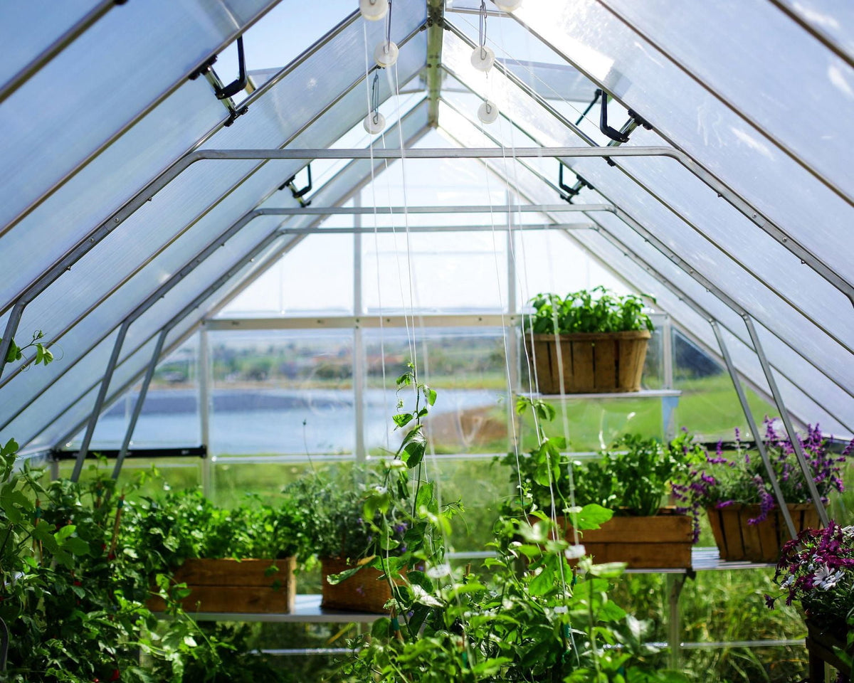 CANOPIA by PALRAM Balance 10 ft. x 20 ft. Greenhouse Kit - Silver