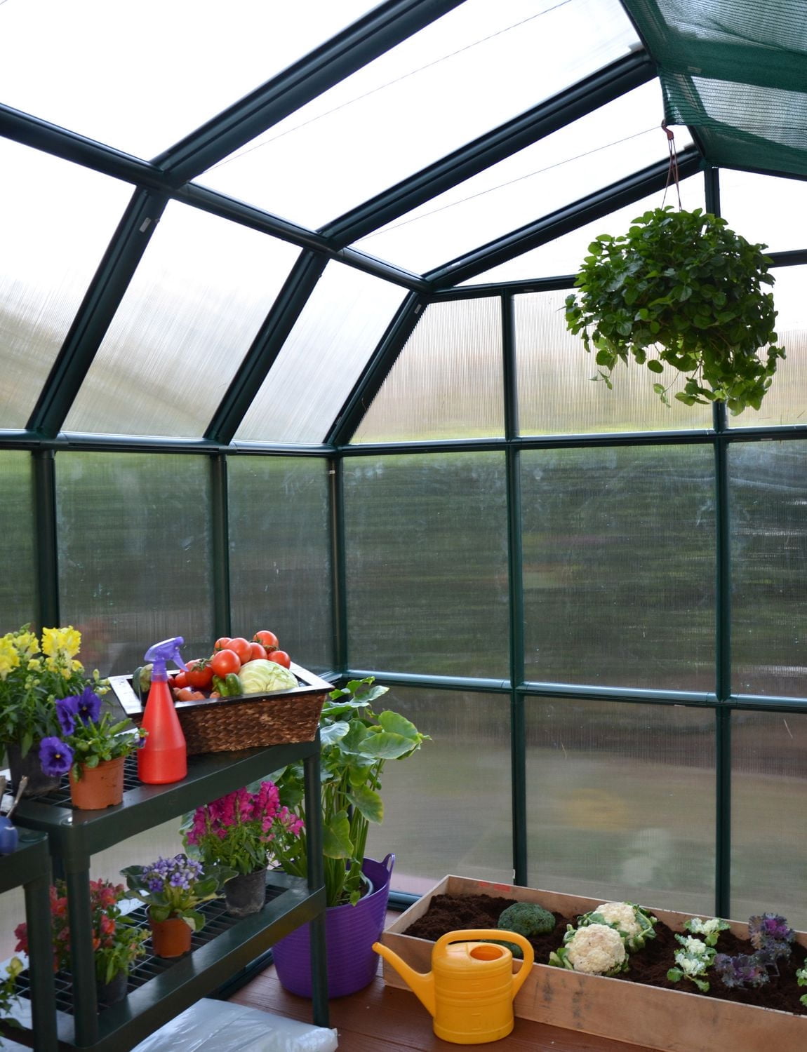 Rion 8 ft. X 16 ft. Prestige Greenhouse