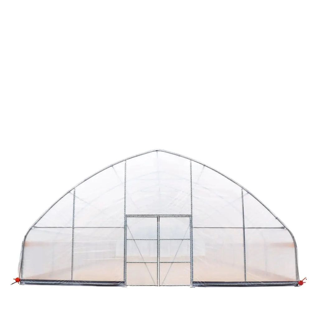 TMG Industrial Commercial Tunnel Greenhouse, 30' x 30', 6 Mil Clear Poly Covers and Roll-Up Sides, TMG-GH3030