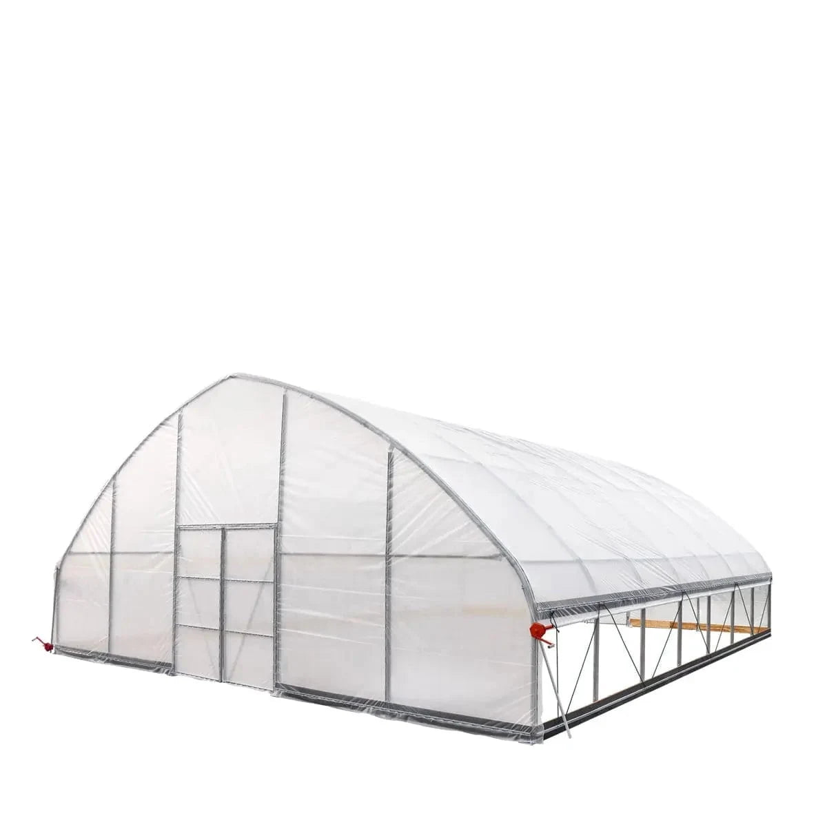 TMG Industrial Commercial Tunnel Greenhouse, 30' x 30', 6 Mil Clear Poly Covers and Roll-Up Sides, TMG-GH3030